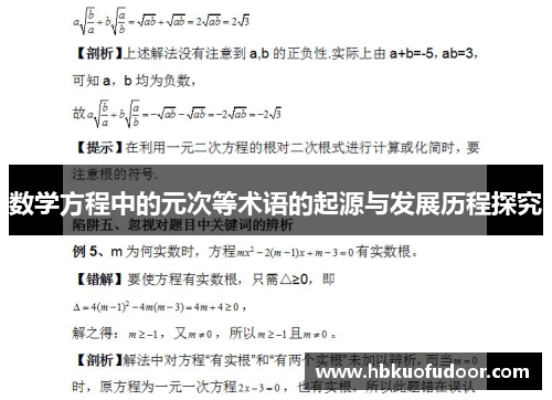 数学方程中的元次等术语的起源与发展历程探究
